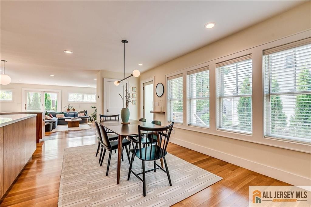 12 S 8th Avenue, Highland Park, NJ, 08904 image 18