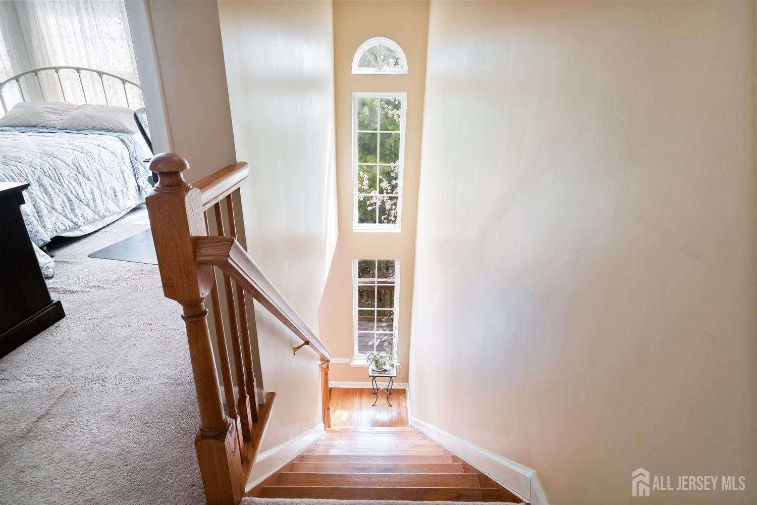 4 Sandra Court 2743, Old Bridge, NJ, 08857 image 21