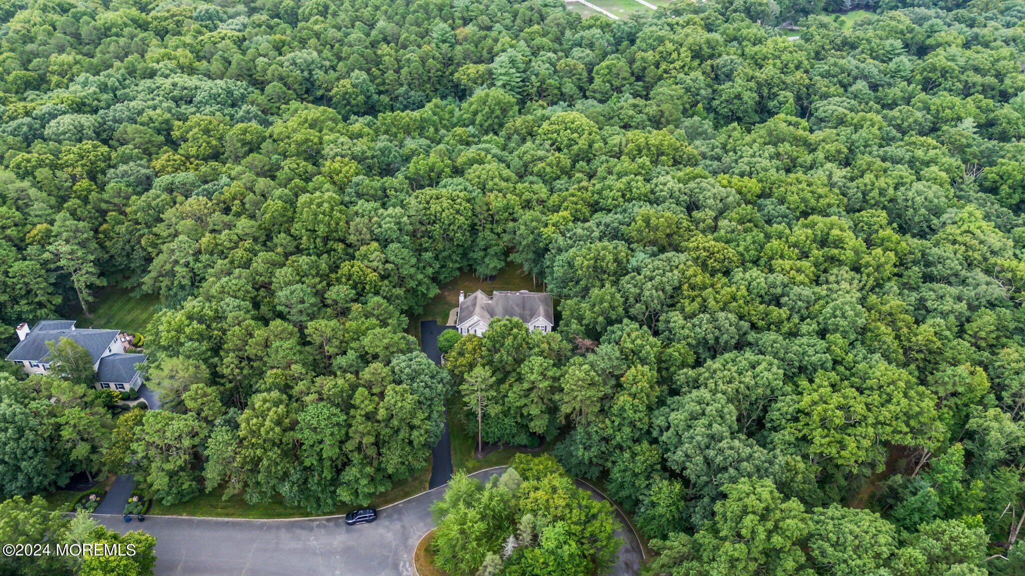 8 Iroquois Court, Colts Neck, NJ, 07722 image 53