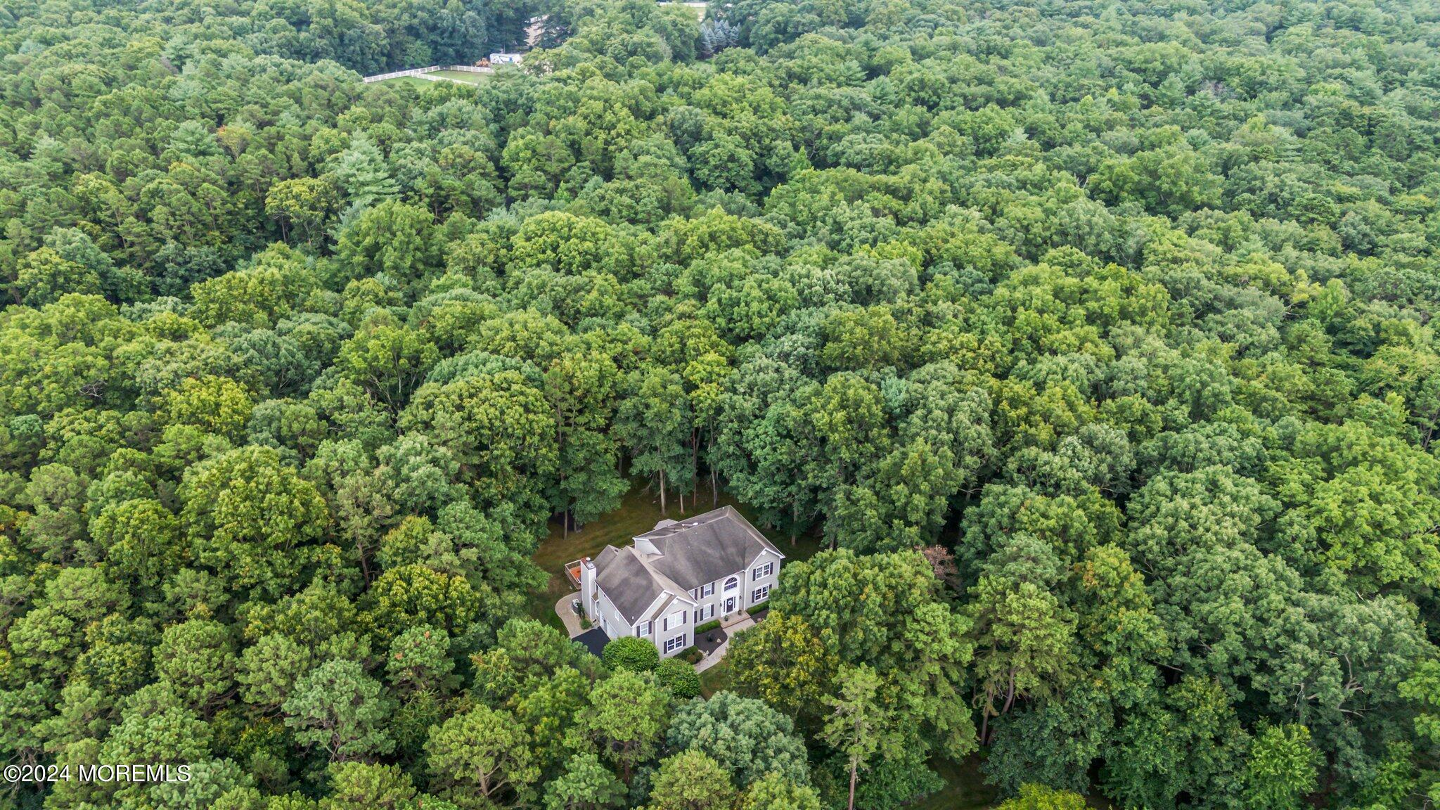 8 Iroquois Court, Colts Neck, NJ, 07722 image 55