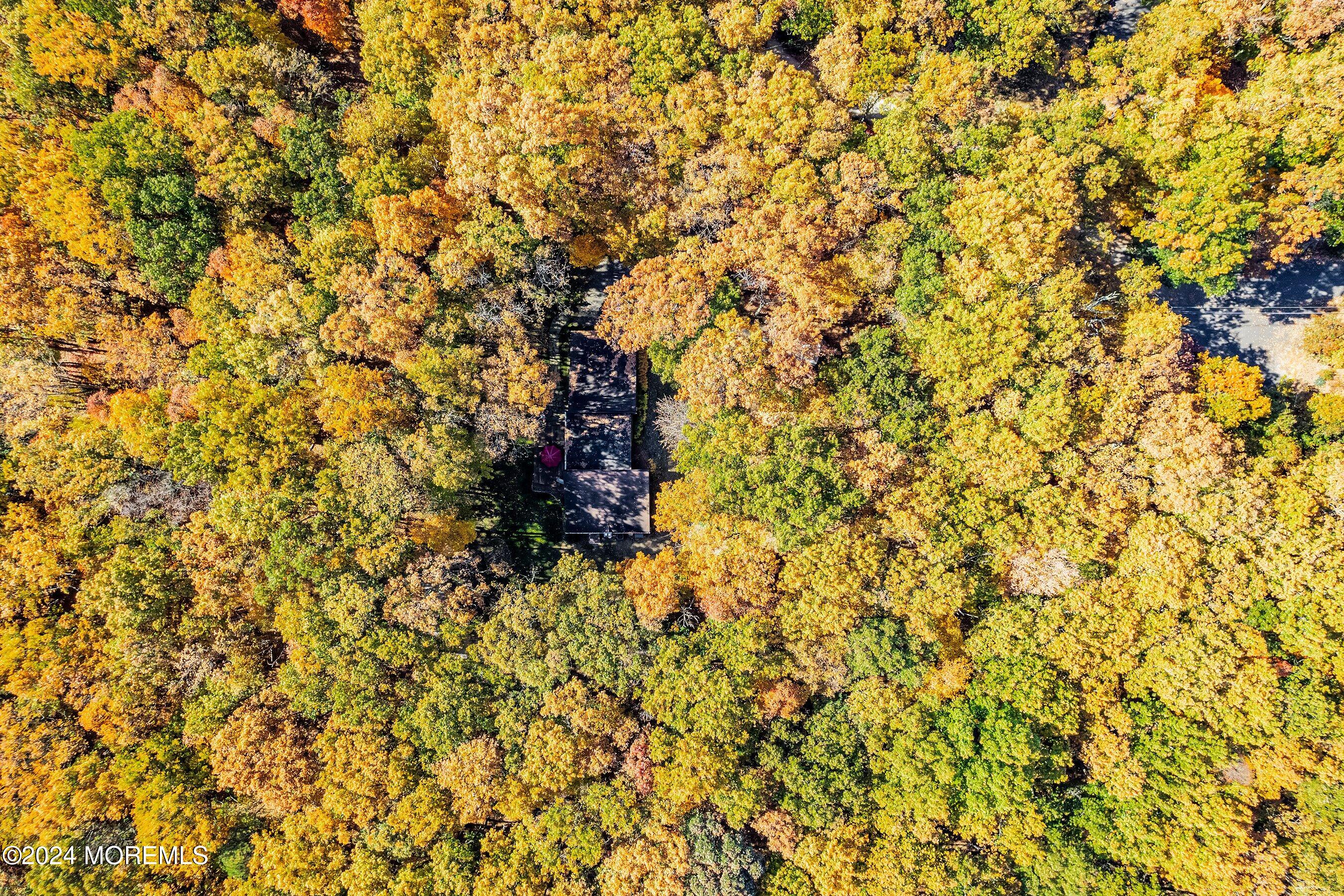 2 Filmore Drive, Millstone, NJ, 08510 image 23