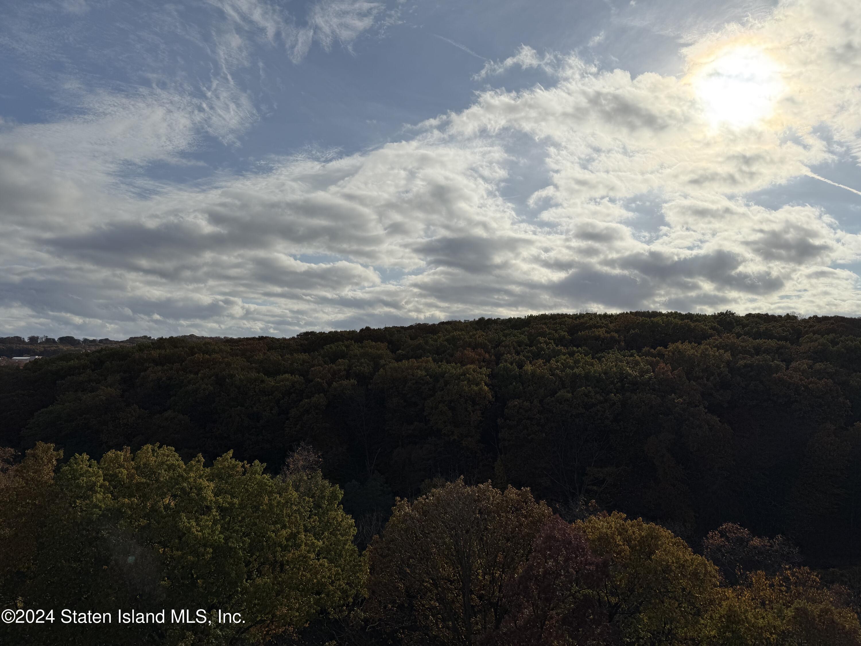 1000 Clove Road 8-C, Staten Island, NY, 10301 image 23