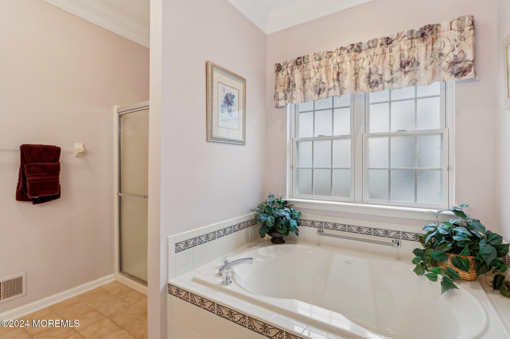 43 Spyglass Drive, Jackson, NJ, 08527 image 33