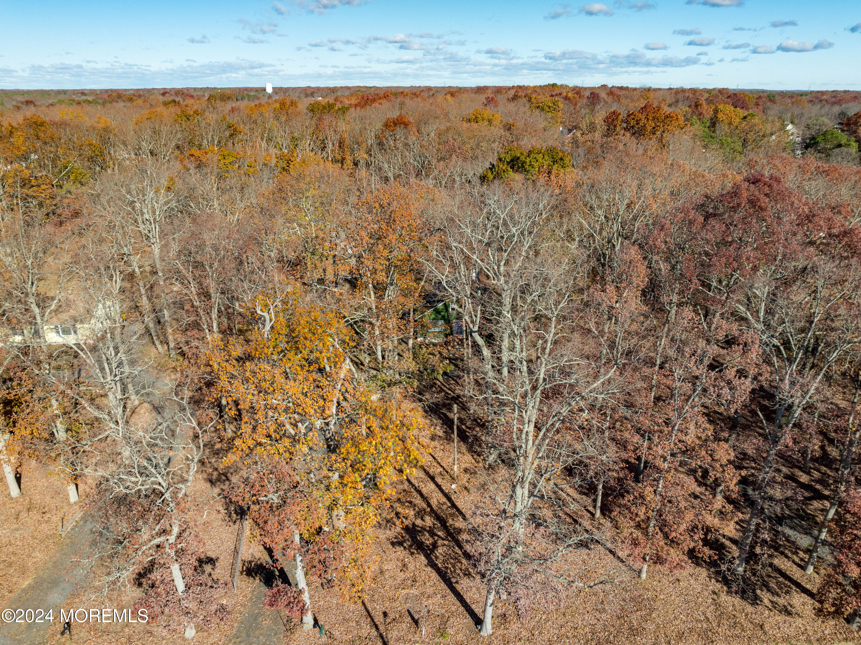 552 Hyson Road, Jackson, NJ, 08527 image 9