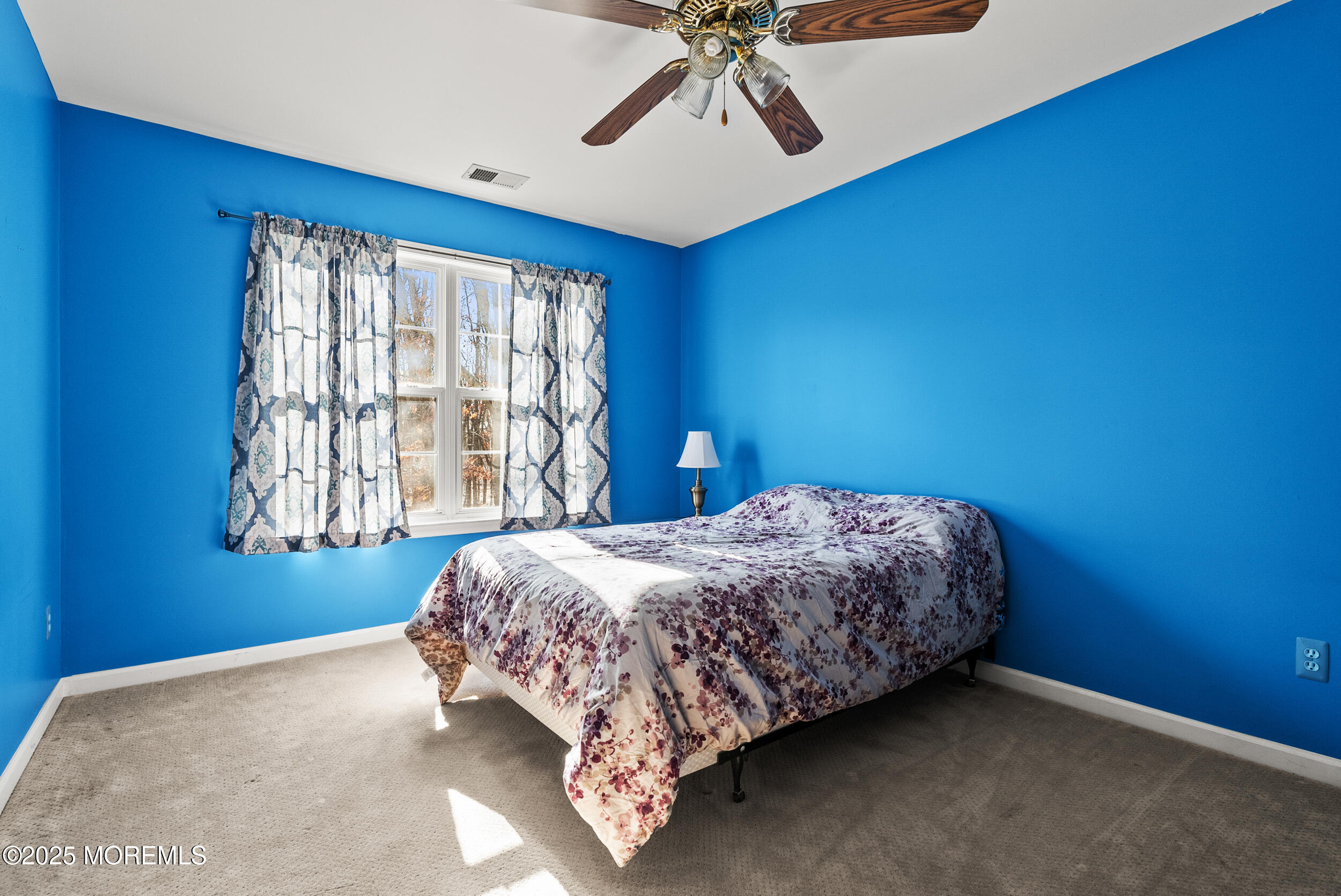 379 Sapphire Drive, Jackson, NJ, 08527 image 29
