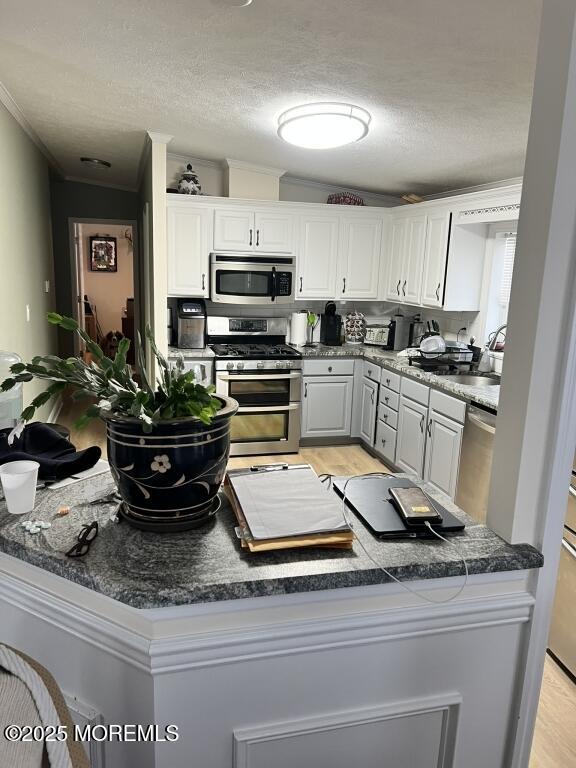 101 Antonia Drive, Jackson, NJ, 08527 image 12