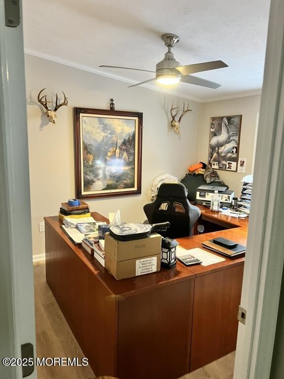 101 Antonia Drive, Jackson, NJ, 08527 image 13