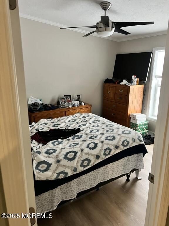101 Antonia Drive, Jackson, NJ, 08527 image 14