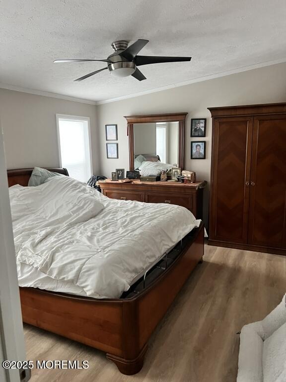 101 Antonia Drive, Jackson, NJ, 08527 image 18