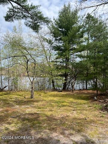 3 Lakeview Drive, Howell, NJ, 07731 image 29