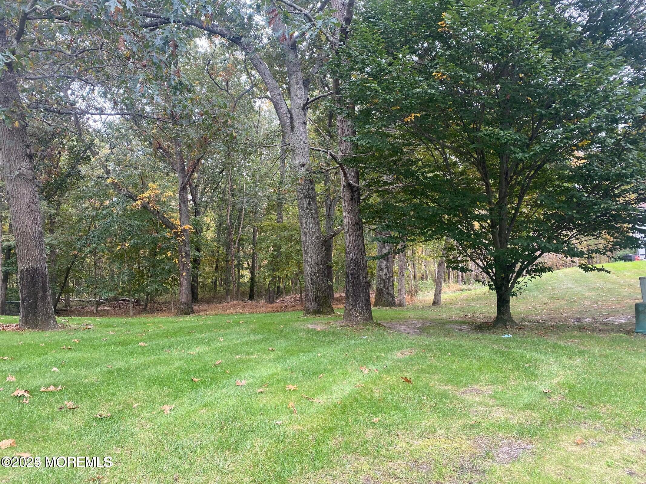 25 Pioneer Court, Freehold, NJ, 07728 image 41