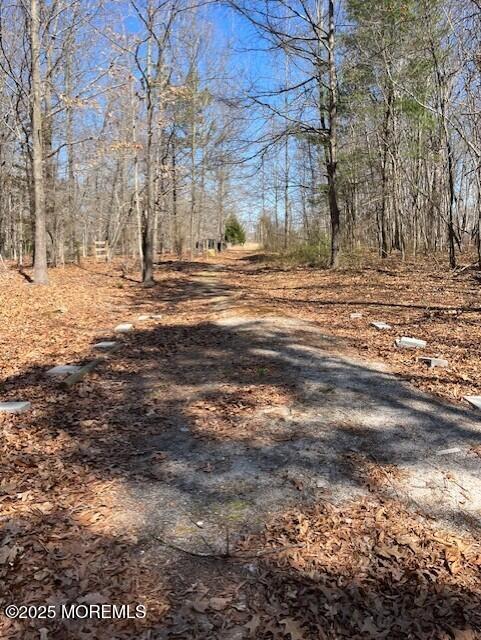 Cedar Street, Farmingdale, NJ, 07727 image 7