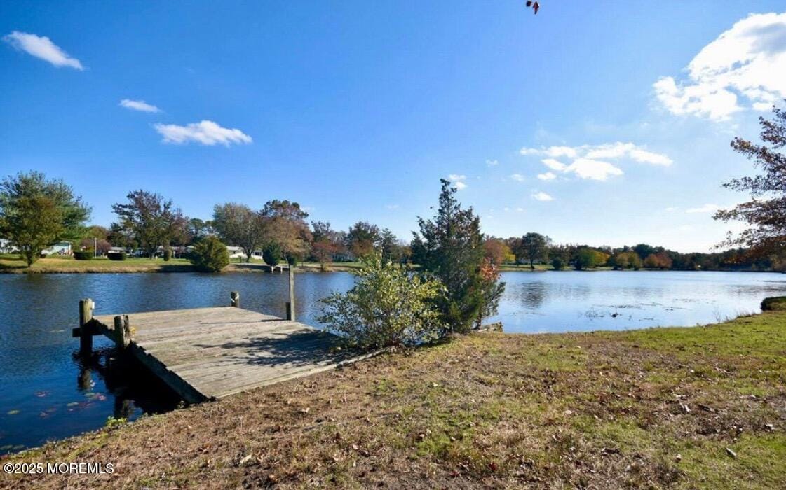49 Watkins Road, Brick, NJ, 08724 image 50