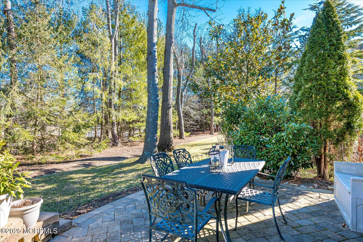 22 Silver Charm Road, Manalapan, NJ, 07726 image 35