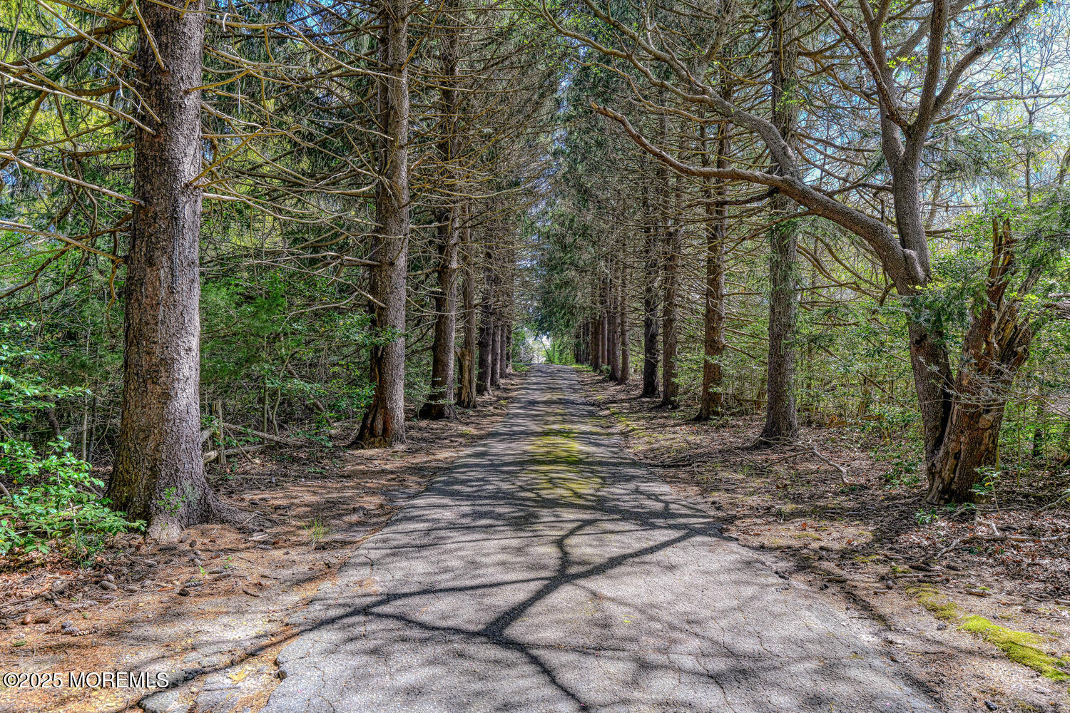 920 Ridge Road Road, Brick, NJ, 08724 image 9