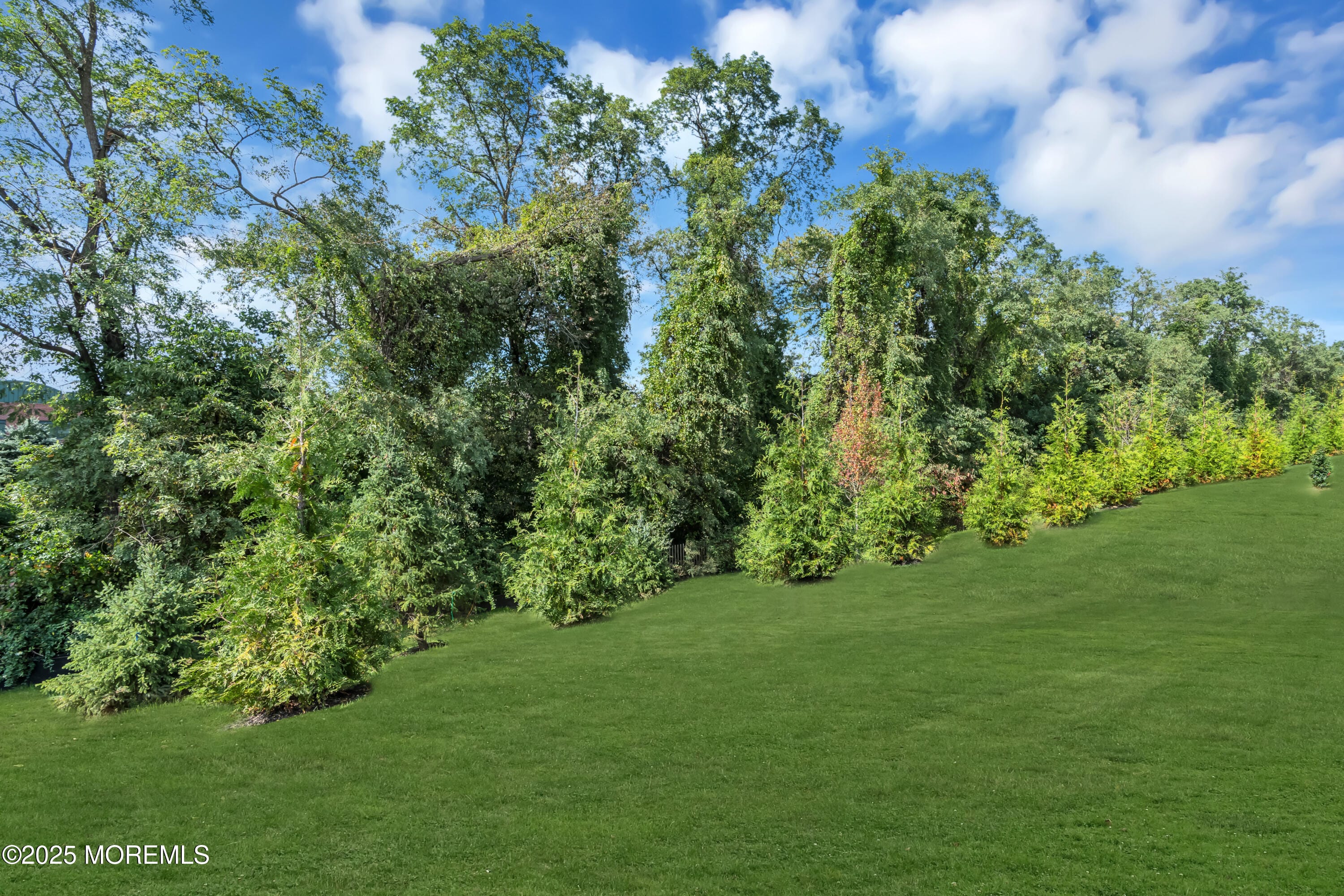 59 Sofia Drive, Manalapan, NJ, 07726 image 26