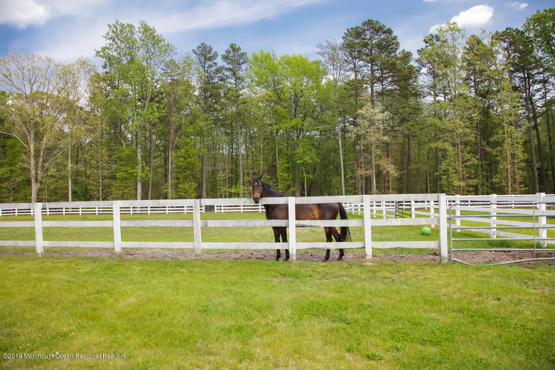 24 Squankum Road, Colts Neck, NJ, 07722 image 8