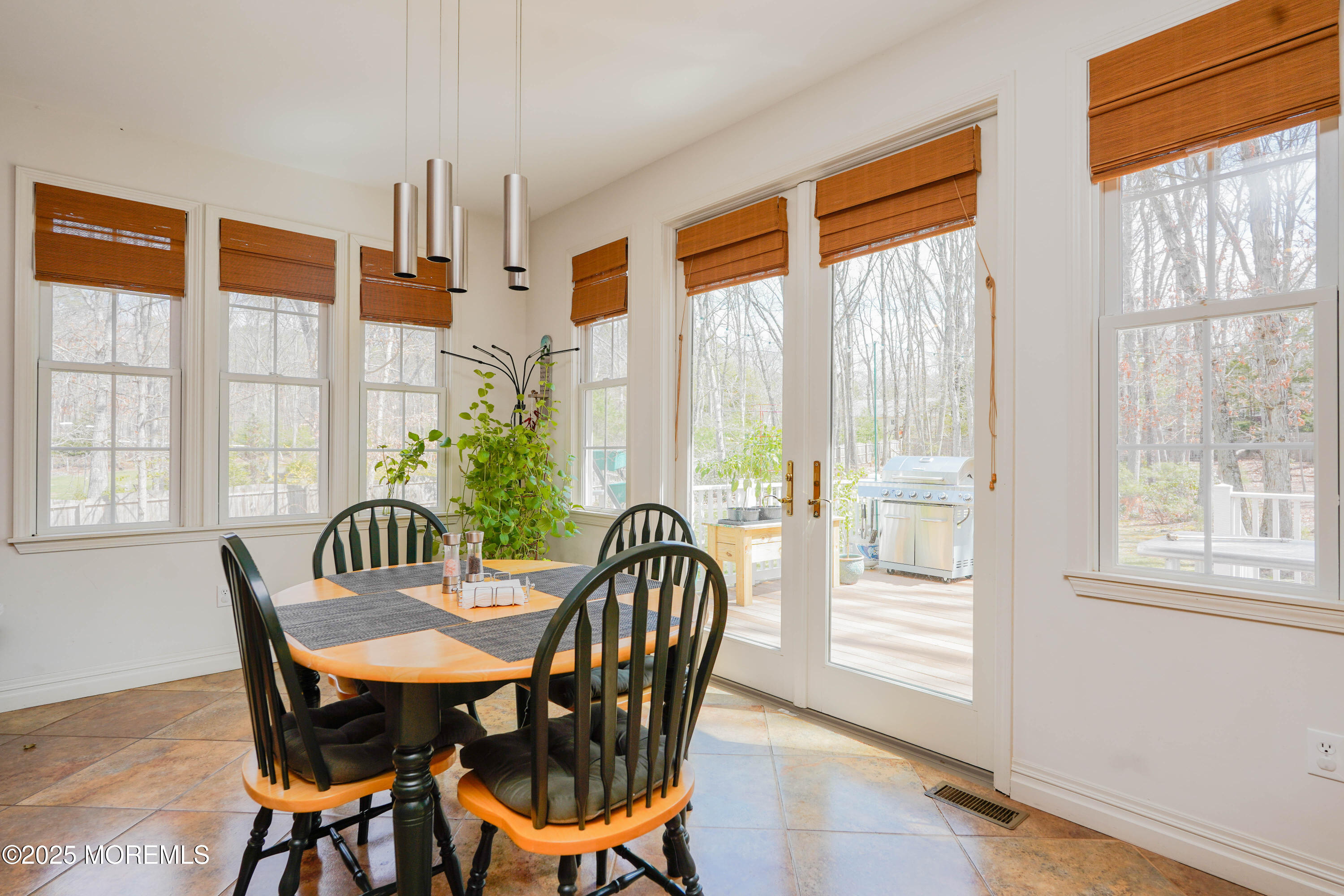 113 Willow Drive, Jackson, NJ, 08527 image 9