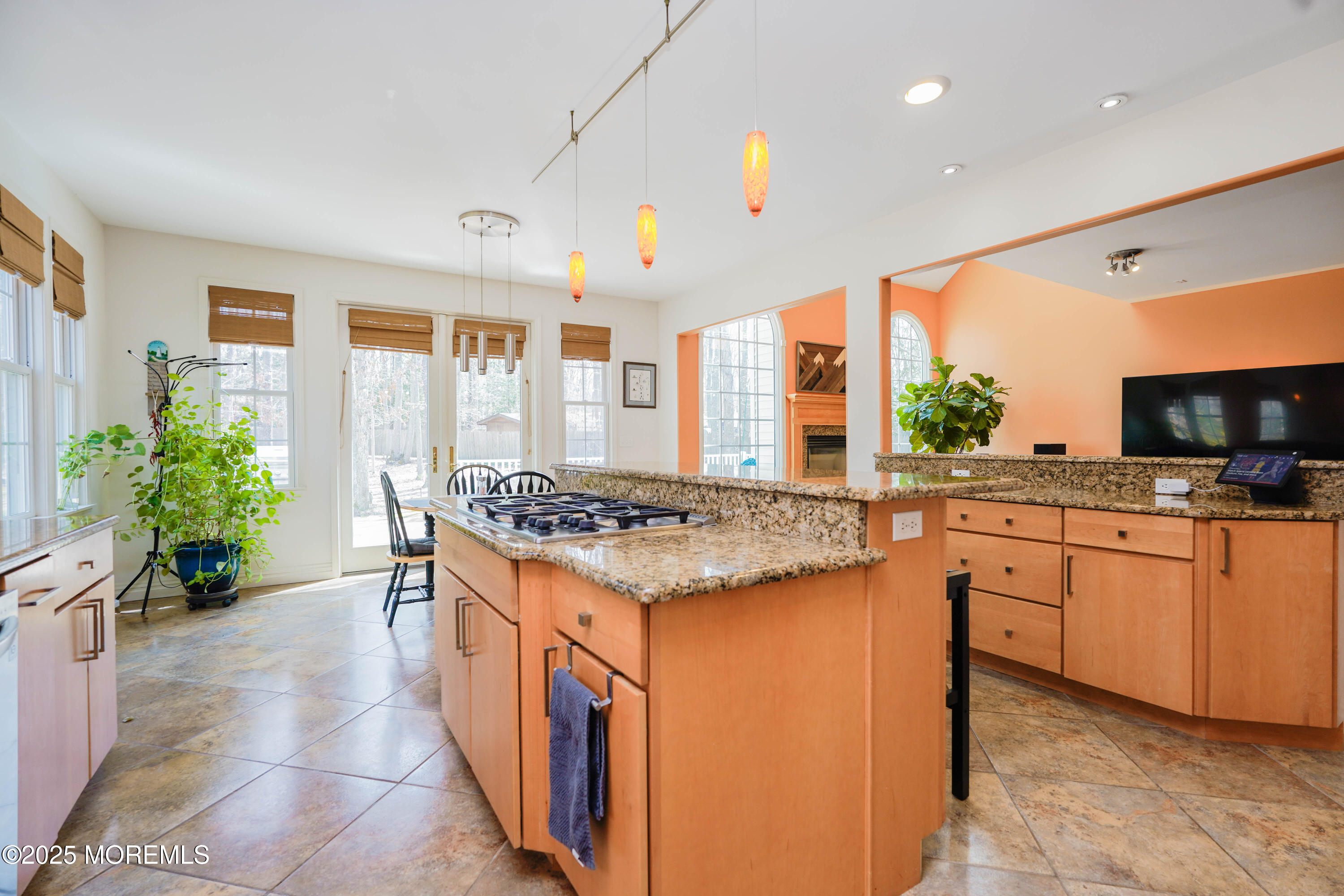 113 Willow Drive, Jackson, NJ, 08527 image 7