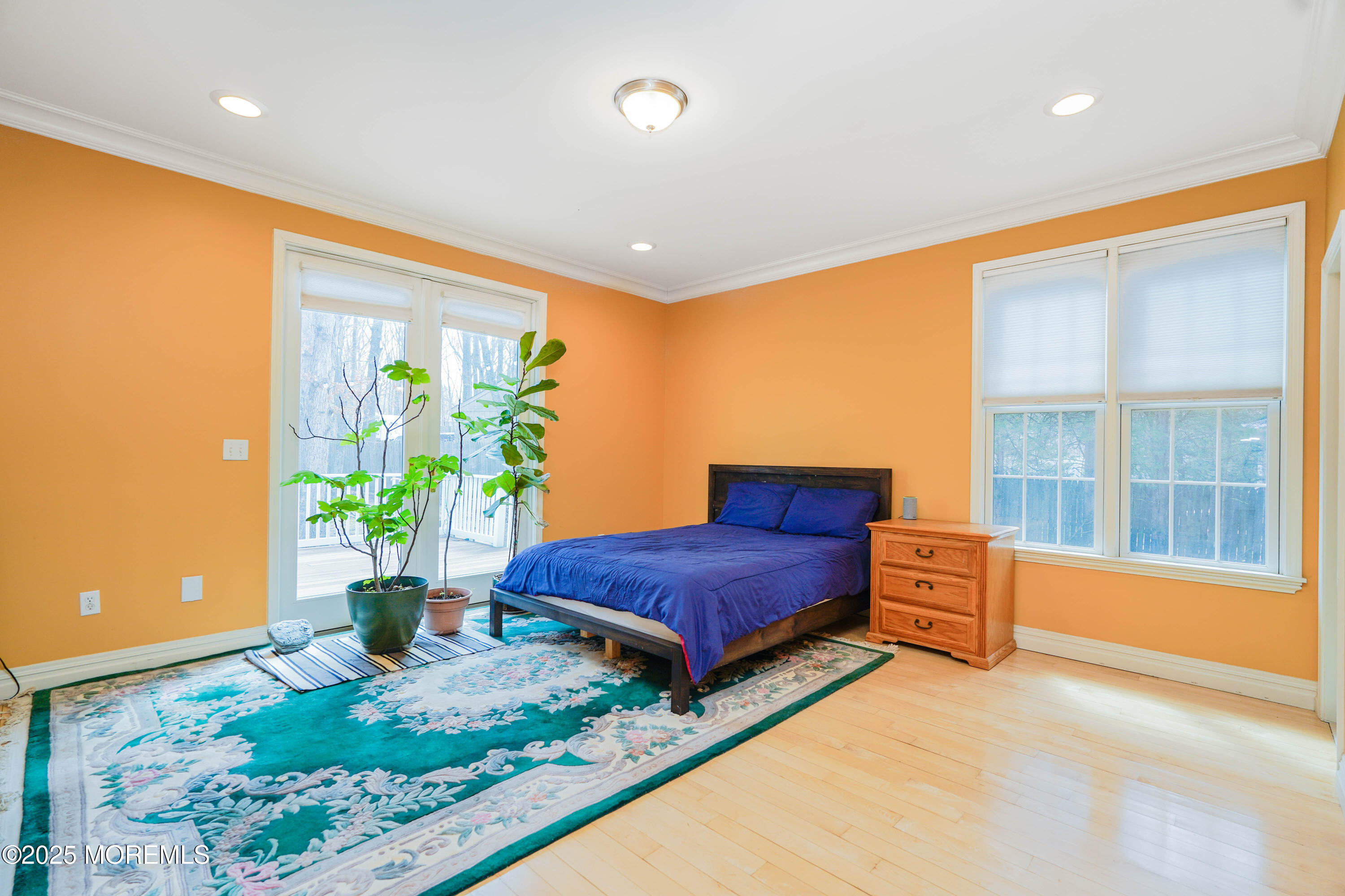 113 Willow Drive, Jackson, NJ, 08527 image 15