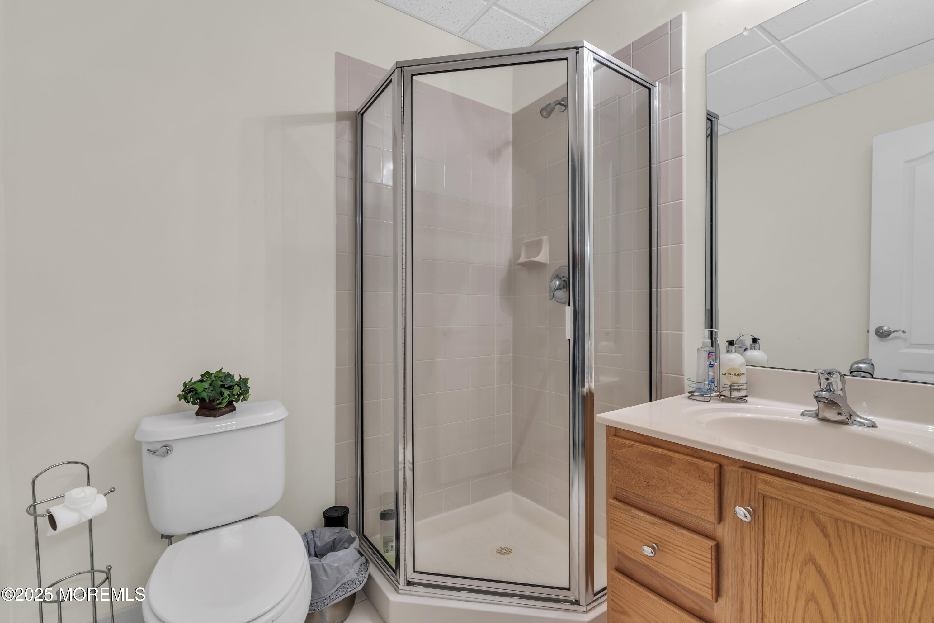 41 Hedgerow Lane, Manalapan, NJ, 07726 image 46
