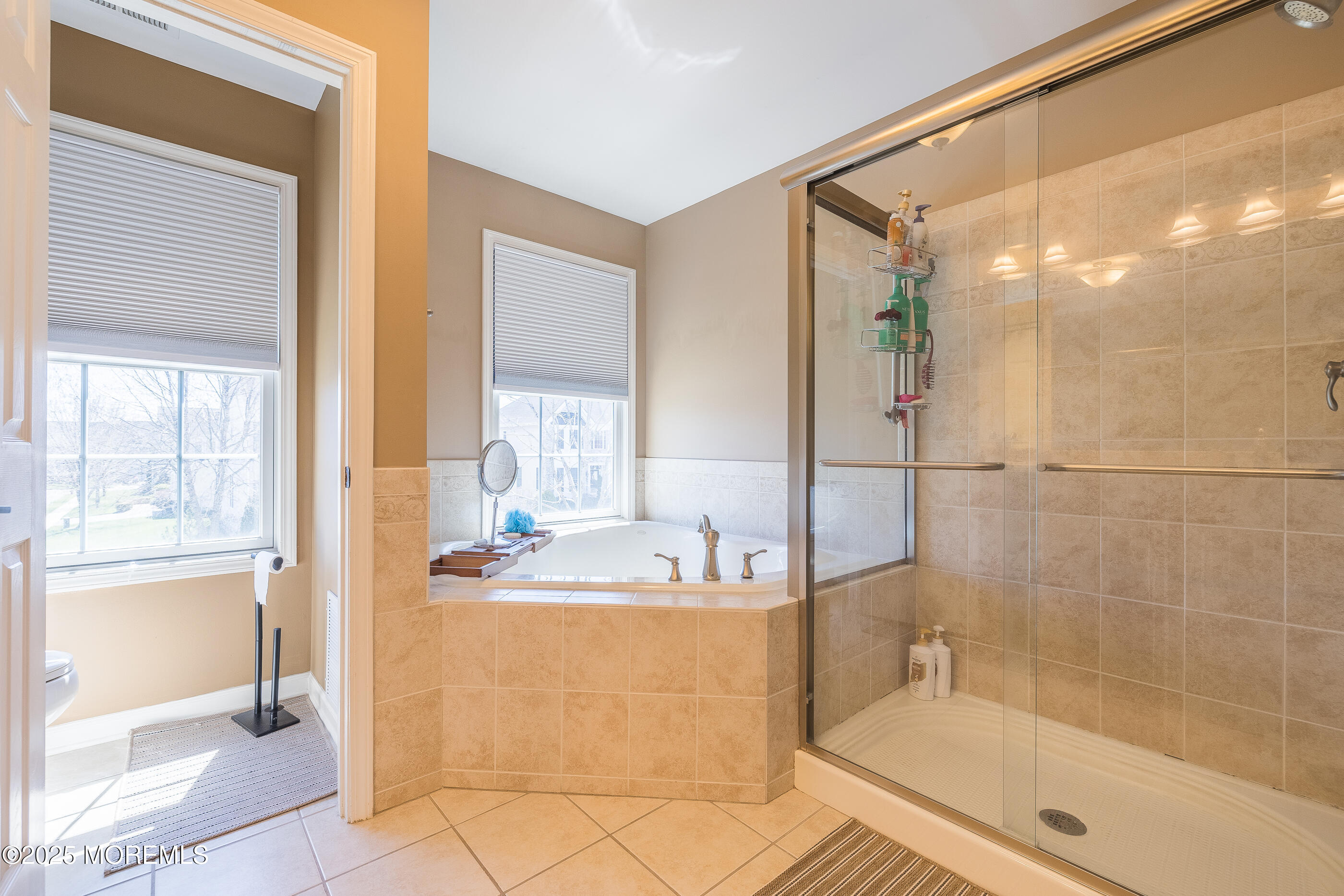 11 Elm Lane, Manalapan, NJ, 07726 image 29