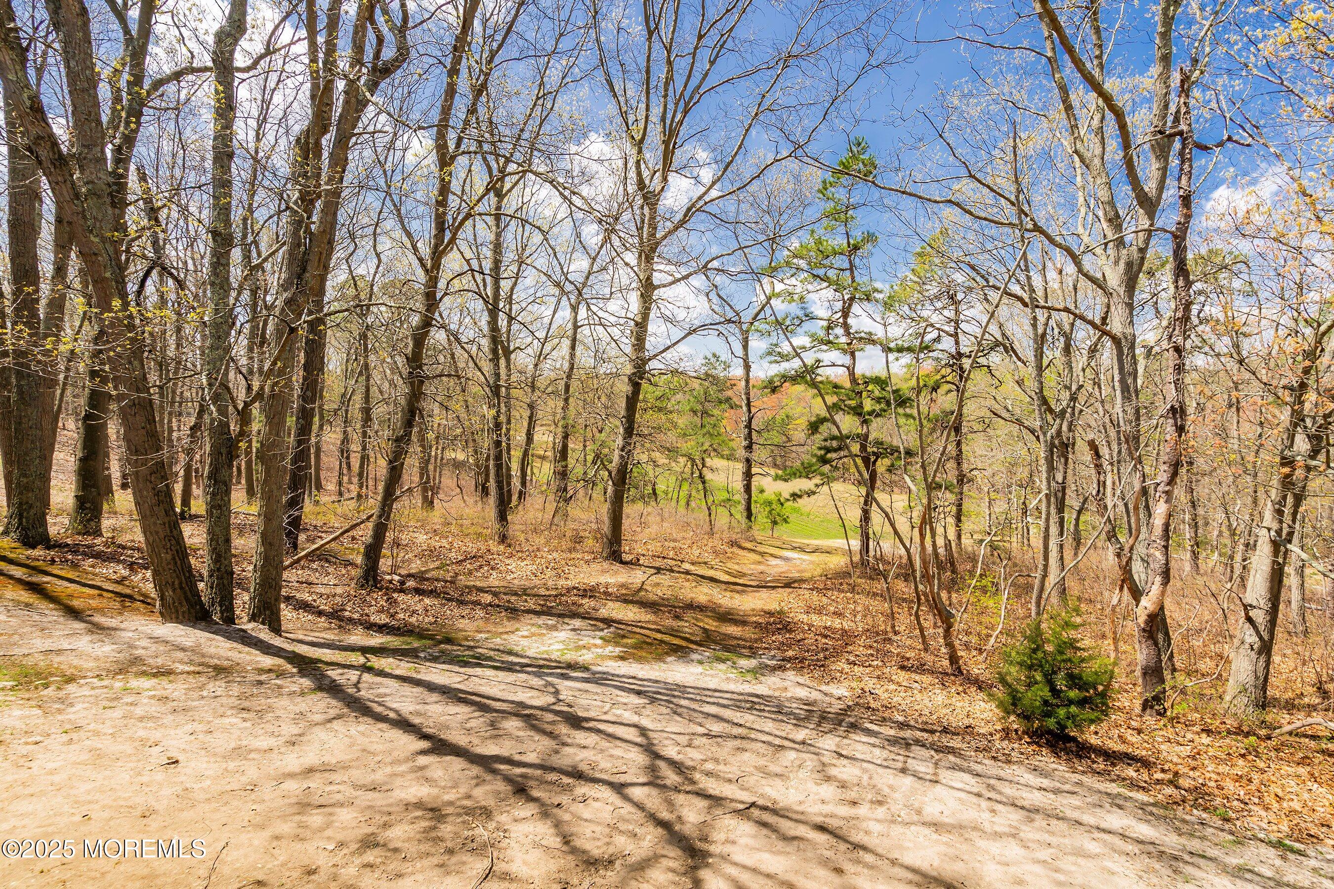 204 Begonia Court, Jackson, NJ, 08527 image 24