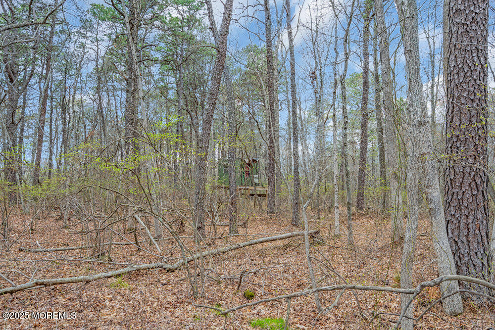 170 W Pleasant Grove Road, Jackson, NJ, 08527 image 9