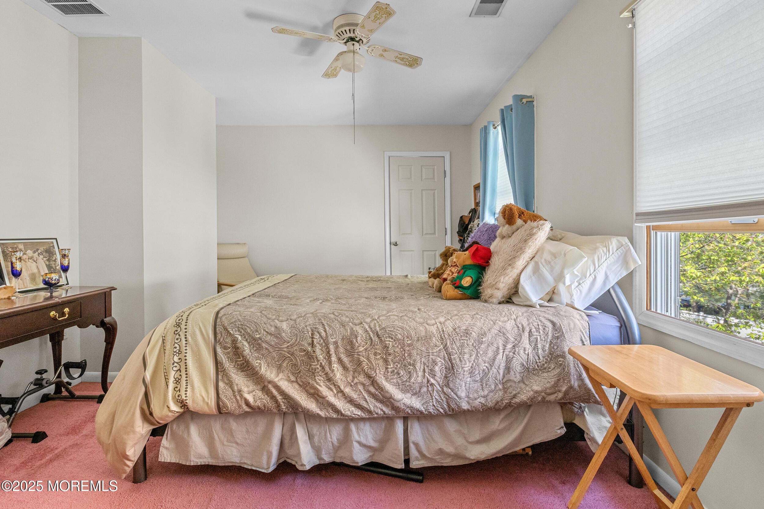 230 Felton Avenue, Highland Park, NJ, 08904 image 19