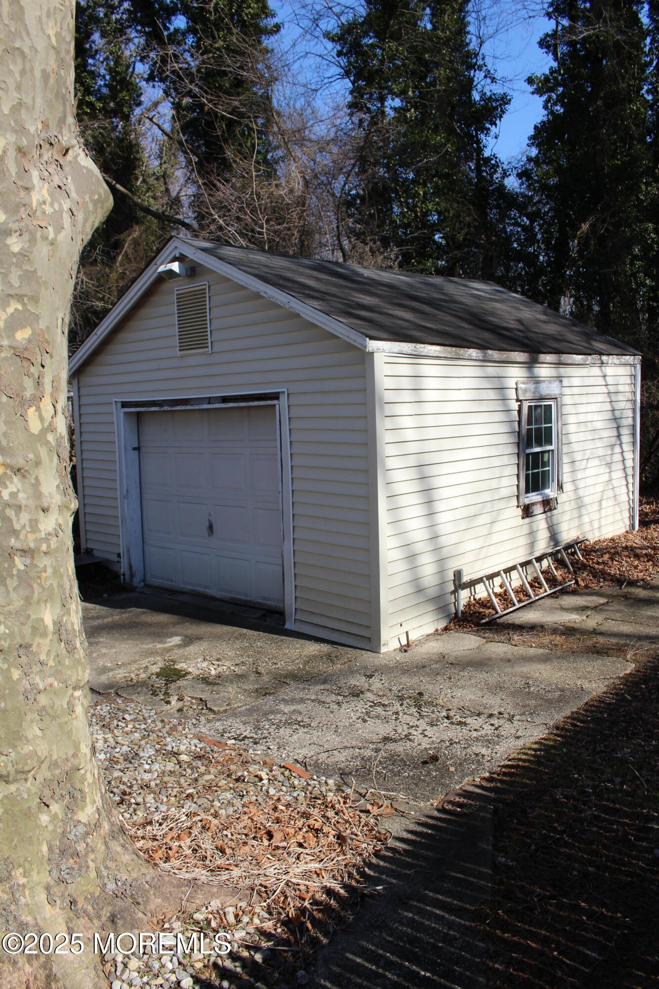 250 Forest Avenue, Middletown, NJ, 07748 image 13