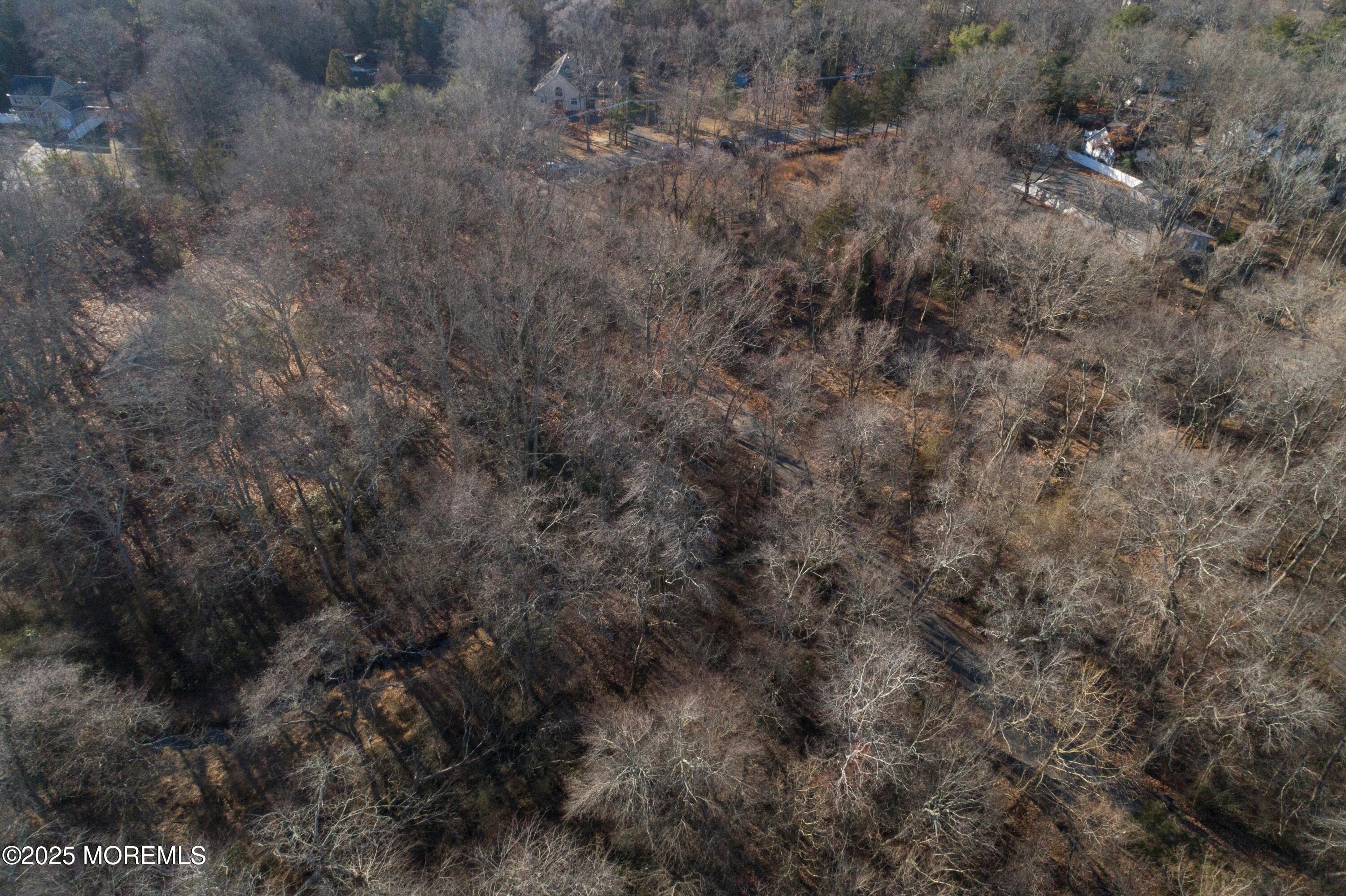 Blue Trail Road Image 5