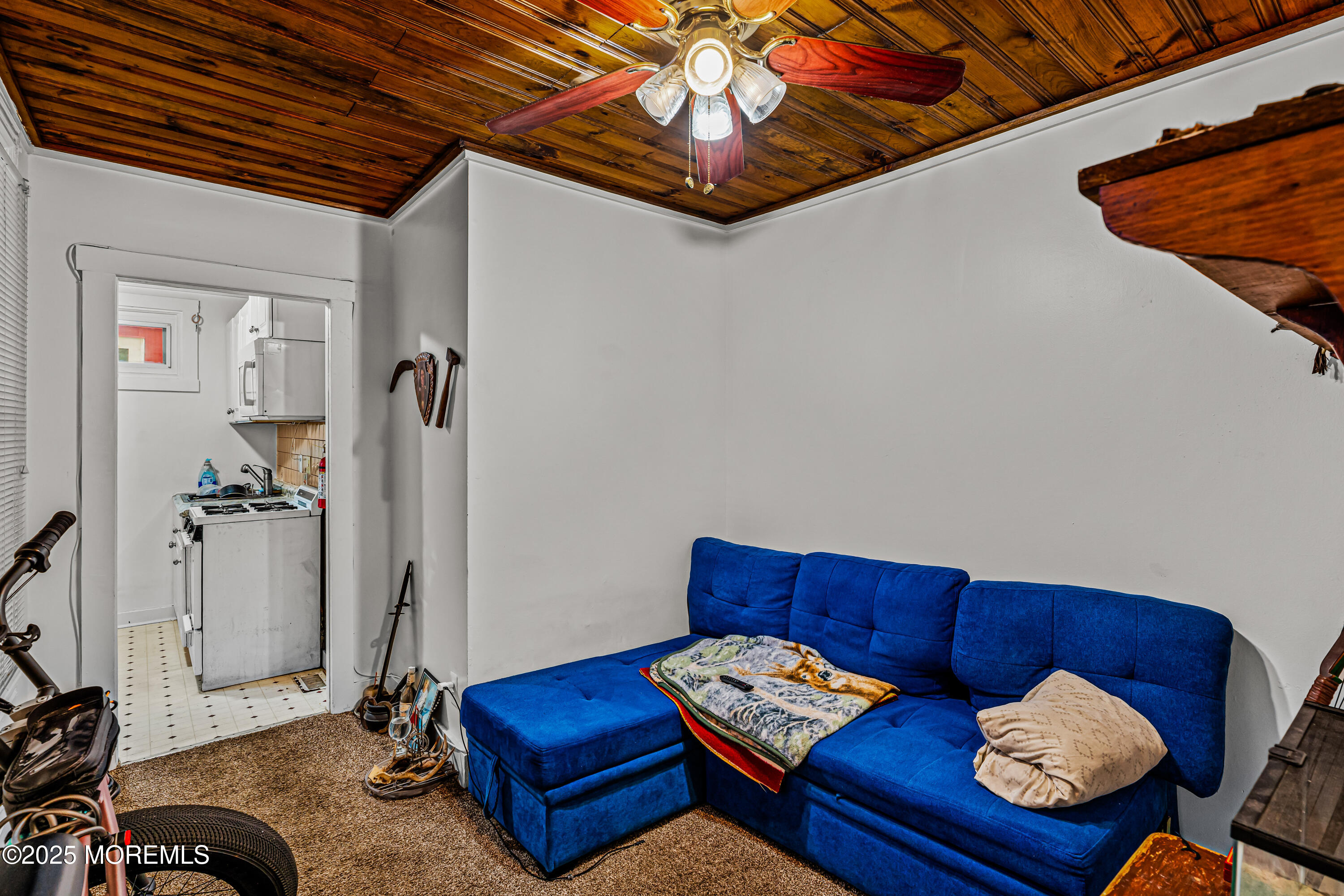 20 Webb Avenue, Ocean Grove, NJ, 07756 image 47