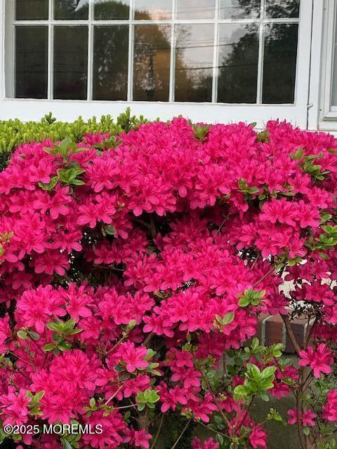 2 The Vista, Middletown, NJ, 07748 image 39