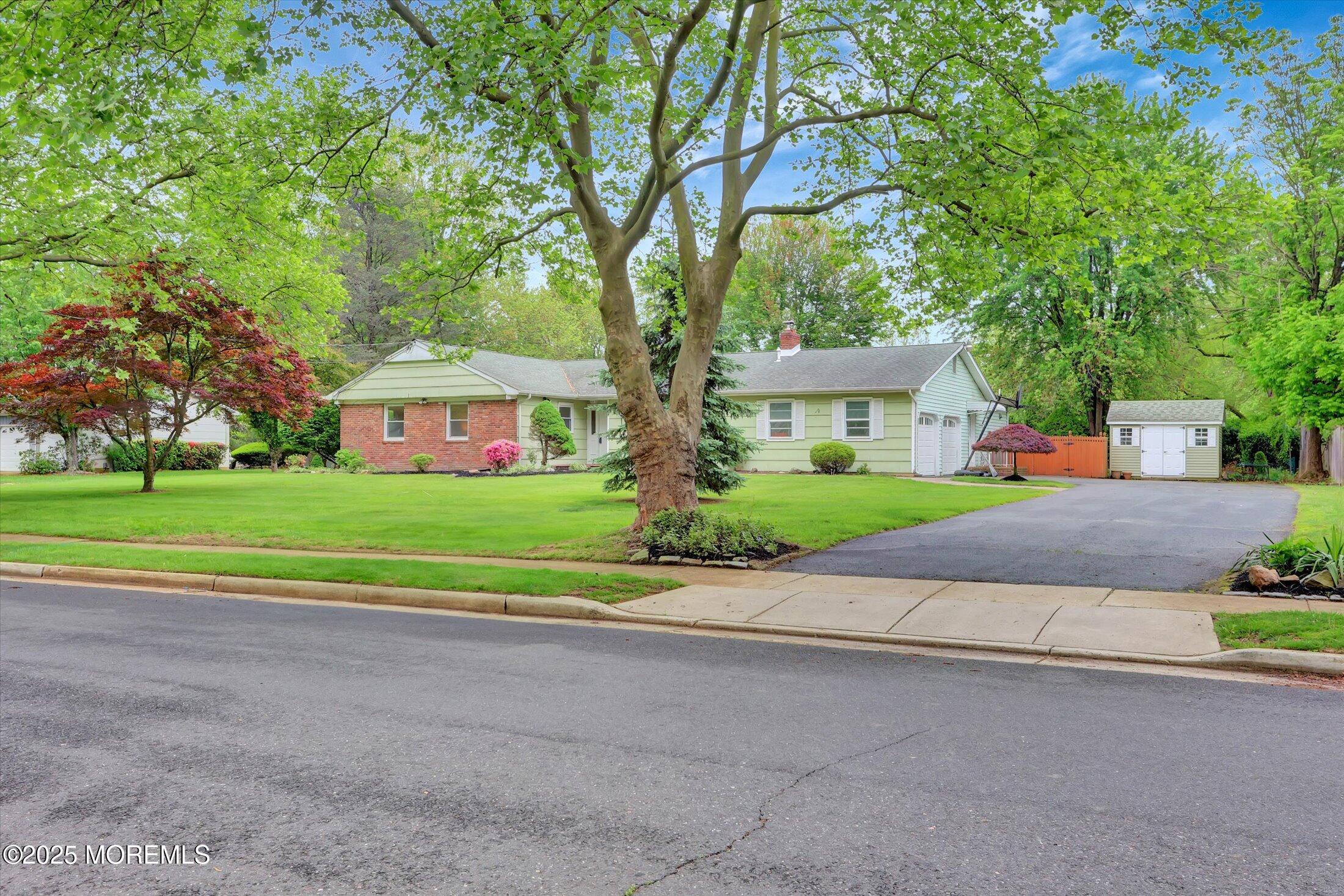 159 Koster Drive Image 3