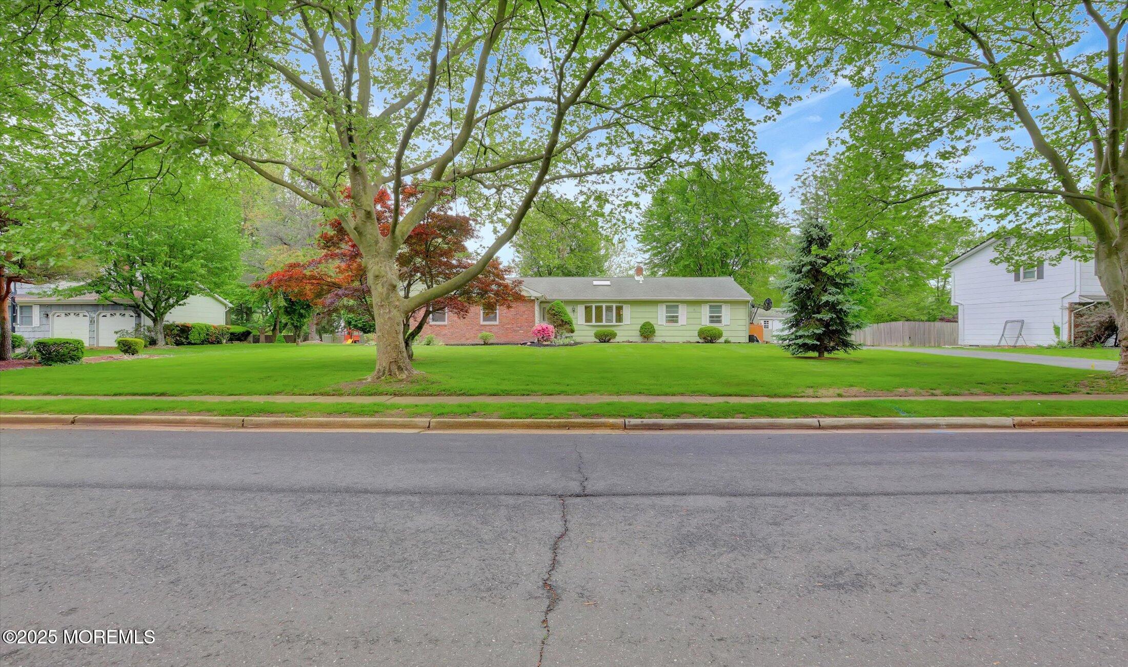 159 Koster Drive Image 4