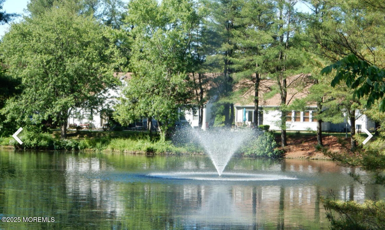 164 Cours De Clemenceau E, Freehold, NJ, 07728 image 38