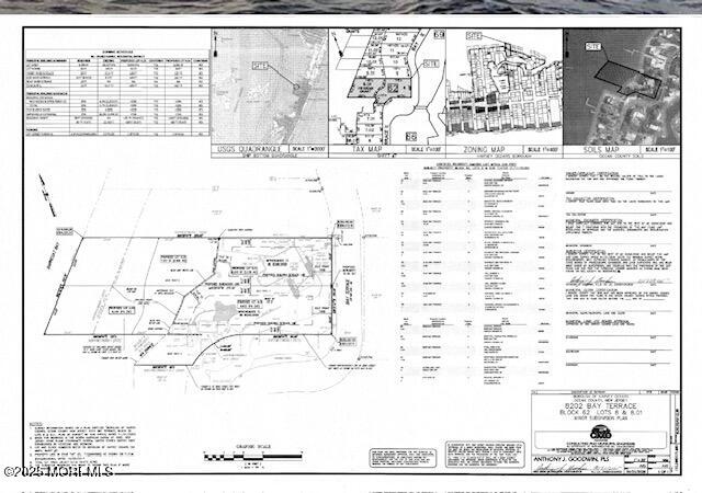 8202 Bay Terrace, Harvey Cedars, NJ, 08008 image 23