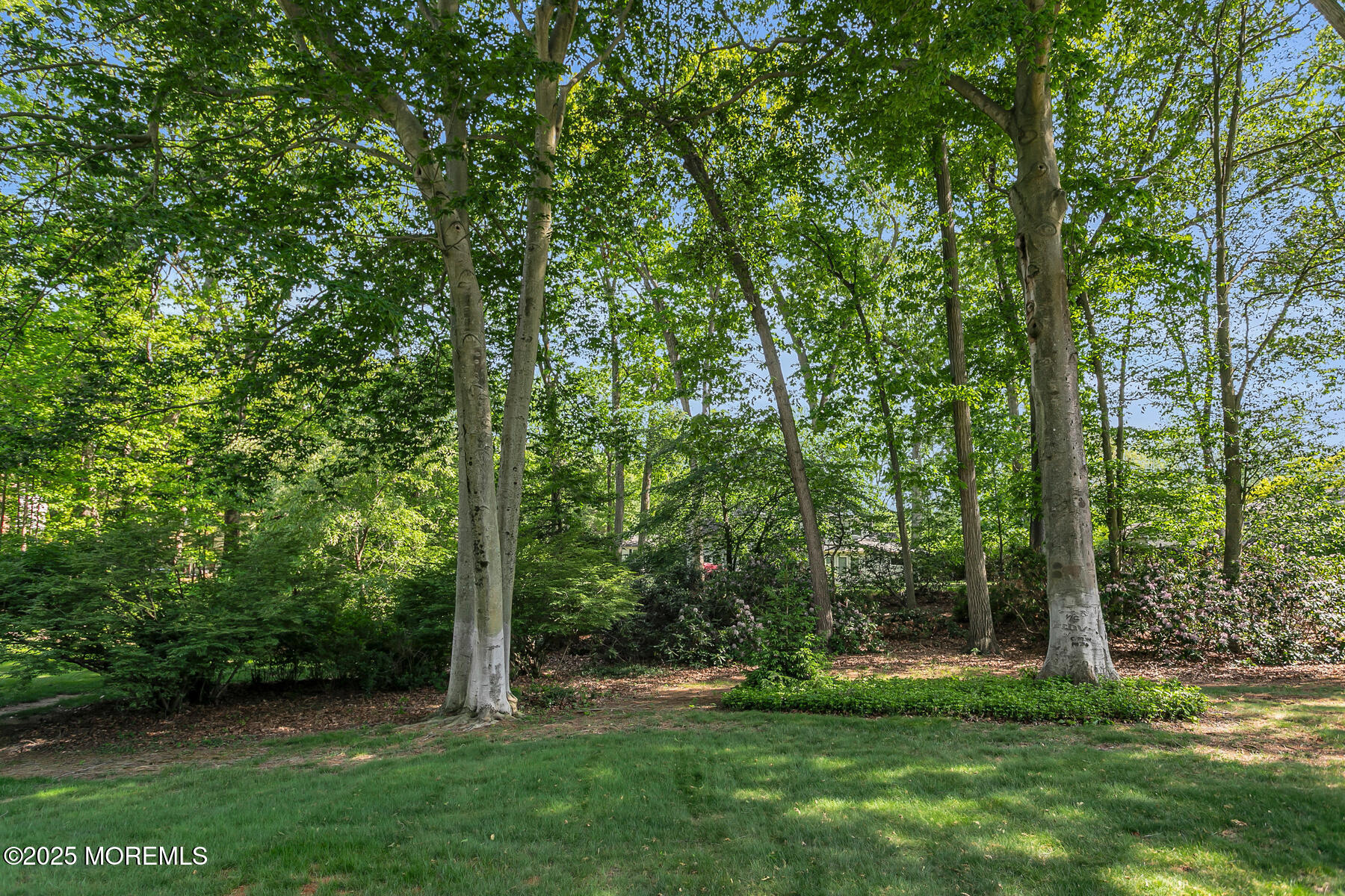 128 Jumping Brook Road, Lincroft, NJ, 07738 image 43