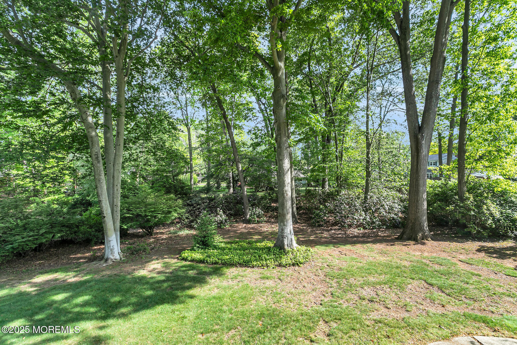 128 Jumping Brook Road, Lincroft, NJ, 07738 image 44