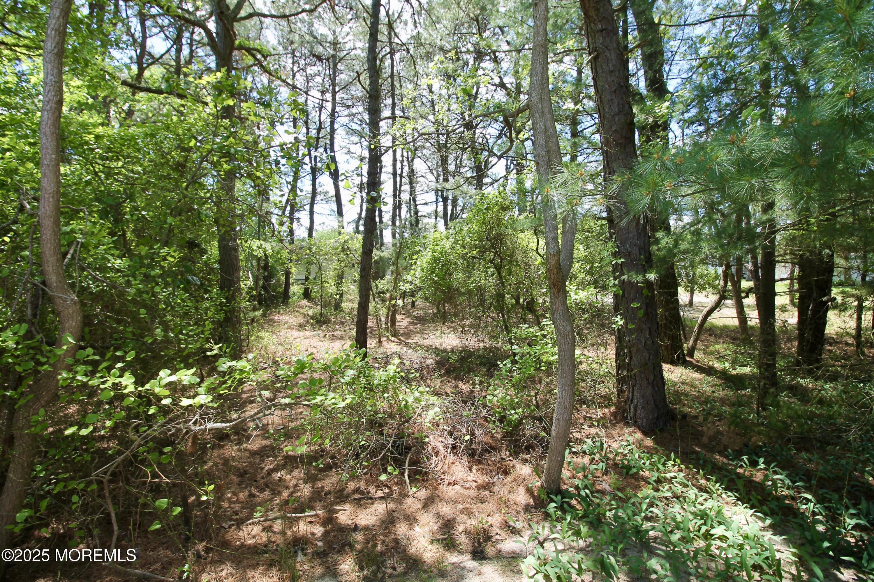 41 Eagle Drive, Whiting, NJ, 08759 image 31