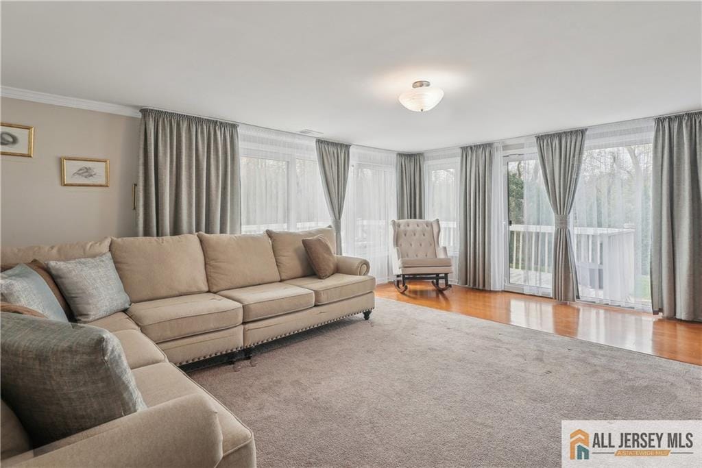52 State Route 33 Street, Freehold Twp, NJ, 07728 image 15