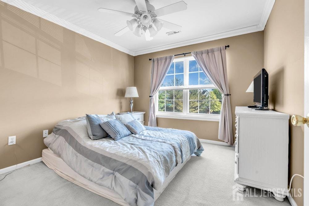 10 Chimney Court, Old Bridge, NJ, 08879 image 13