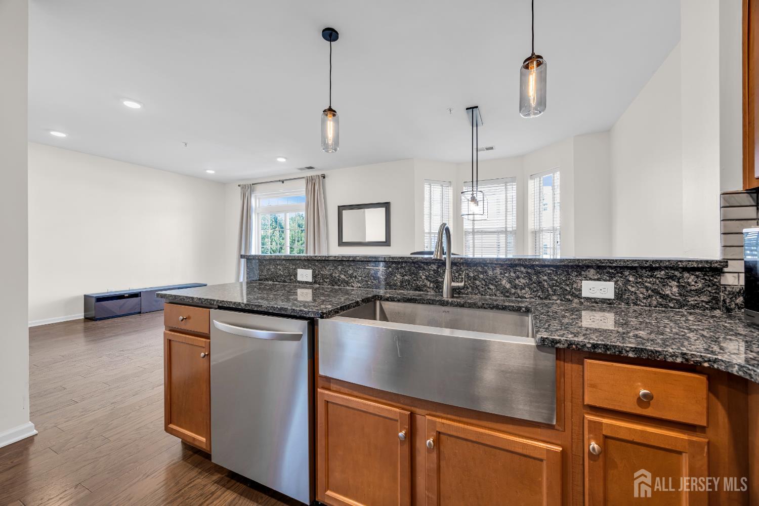 1425 Hudson Circle, Highland Park, NJ, 08904 image 12