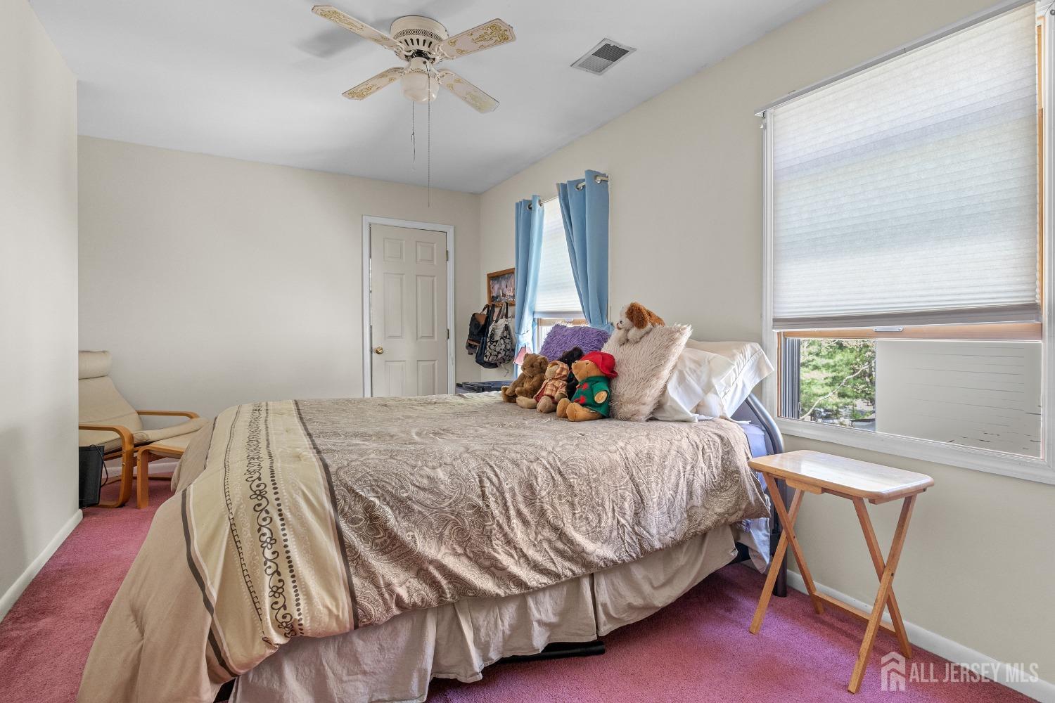 230 Felton Avenue, Highland Park, NJ, 08904 image 18
