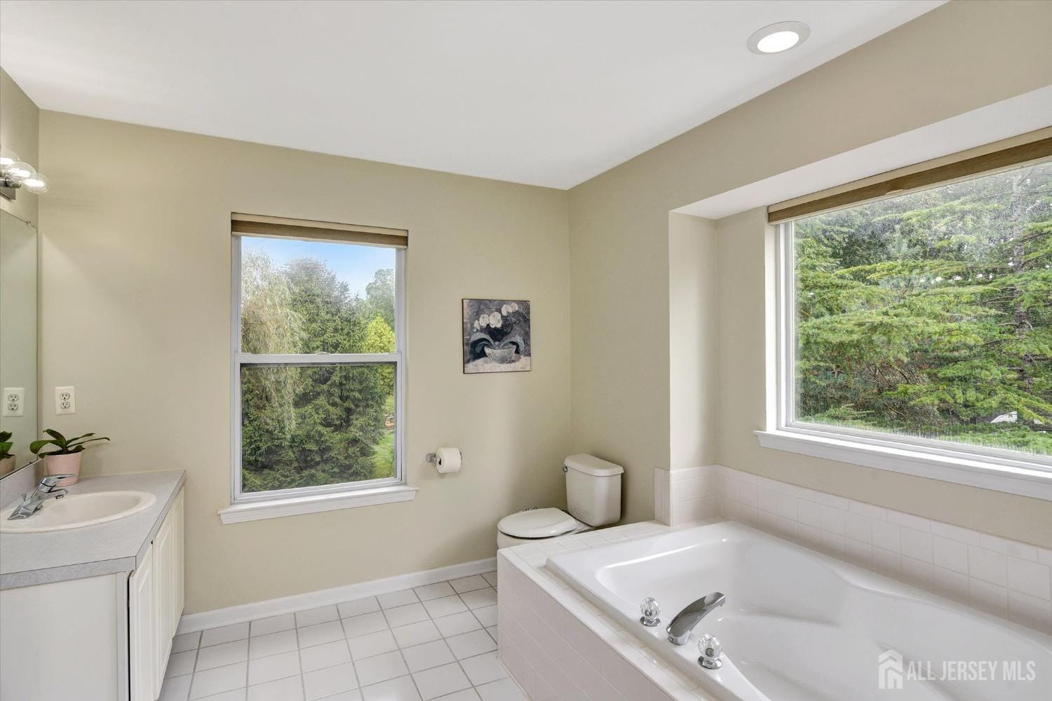 3 Meadowlark Court, Jackson, NJ, 08527 image 22
