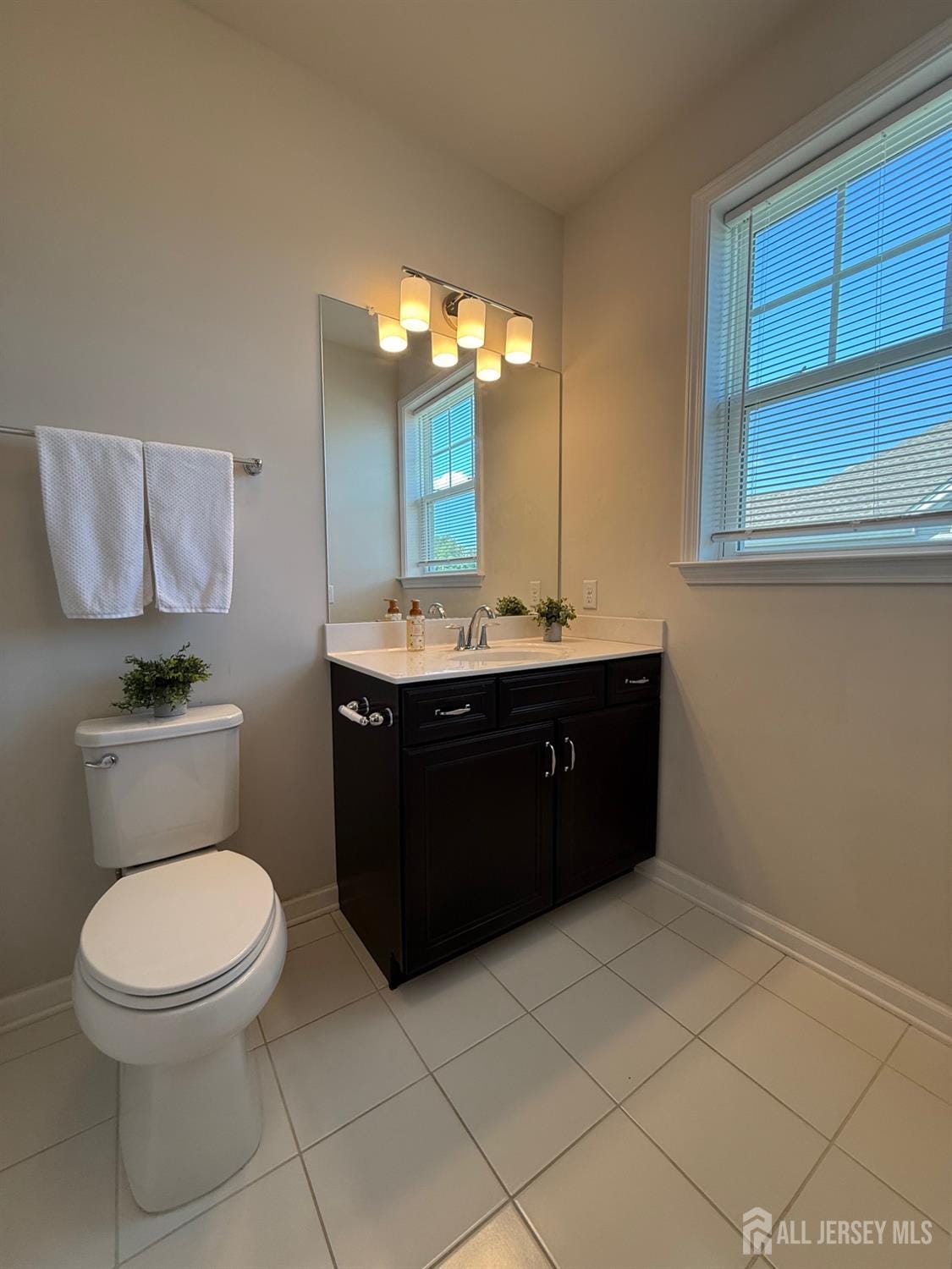 307 Dickson Court, Highland Park, NJ, 08904 image 20