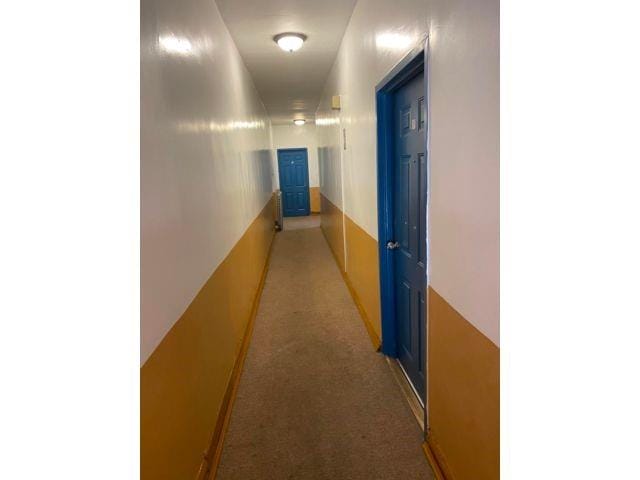 321 Milford Street, Brooklyn, New York, 11208 image 9