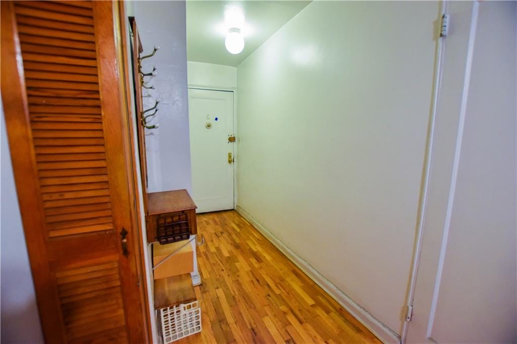 1119 Ocean Parkway 1O, Brooklyn, New York, 11230 image 10