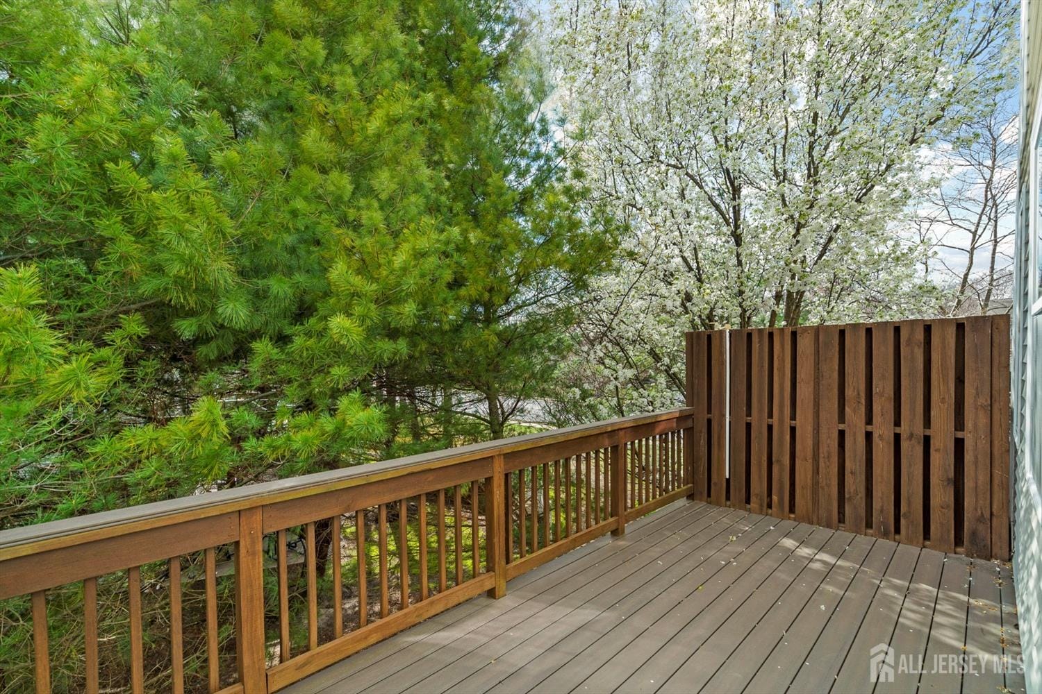 4 Sandra Court 2743, Old Bridge, NJ, 08857 image 9