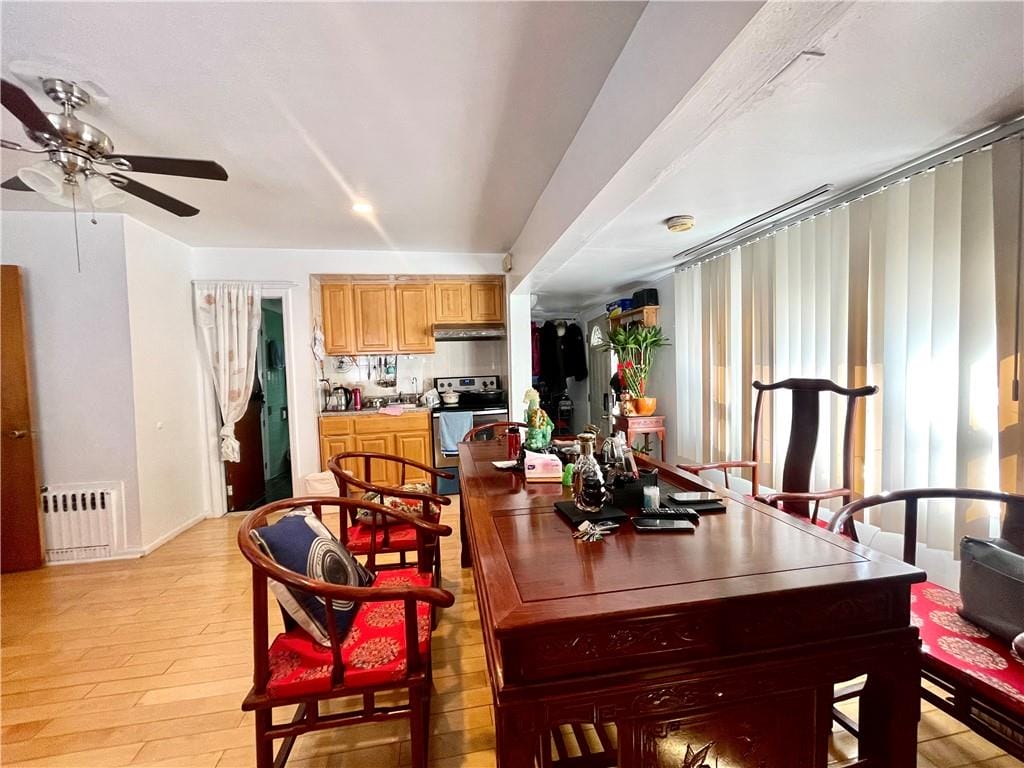 33 Avenue X, Brooklyn, New York, 11223 image 11